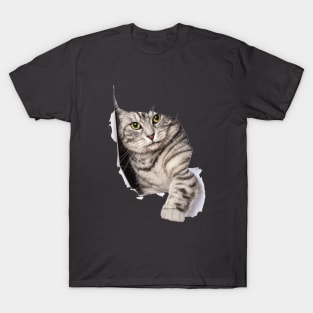 Cat in my Chest T-Shirt